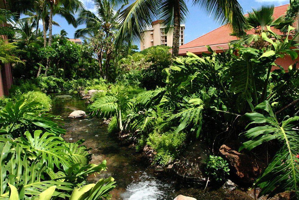 Kahana Falls Resort Napili-Honokowai Exterior photo